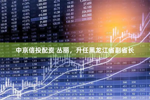 中京信投配资 丛丽，升任黑龙江省副省长